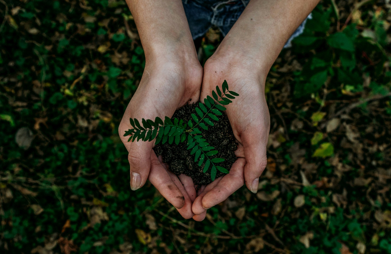 Our commitment to sustainability